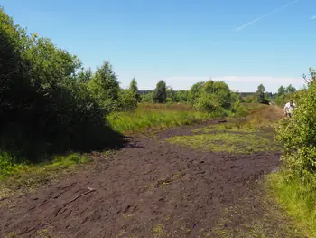 Signal de Botrange (Belgium)